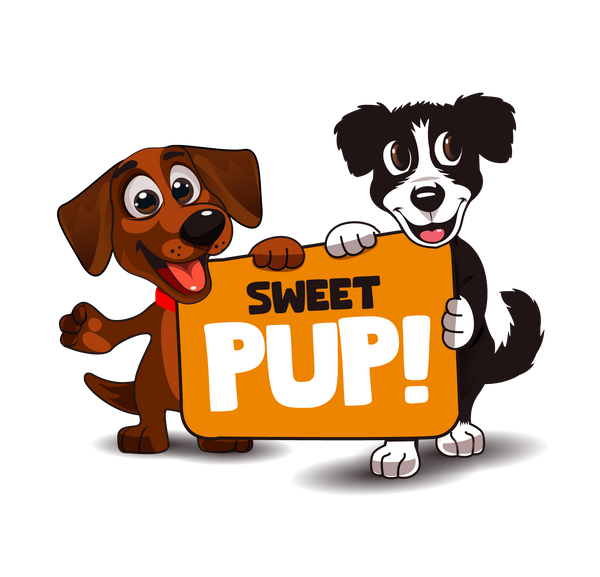 Sweet Pup!